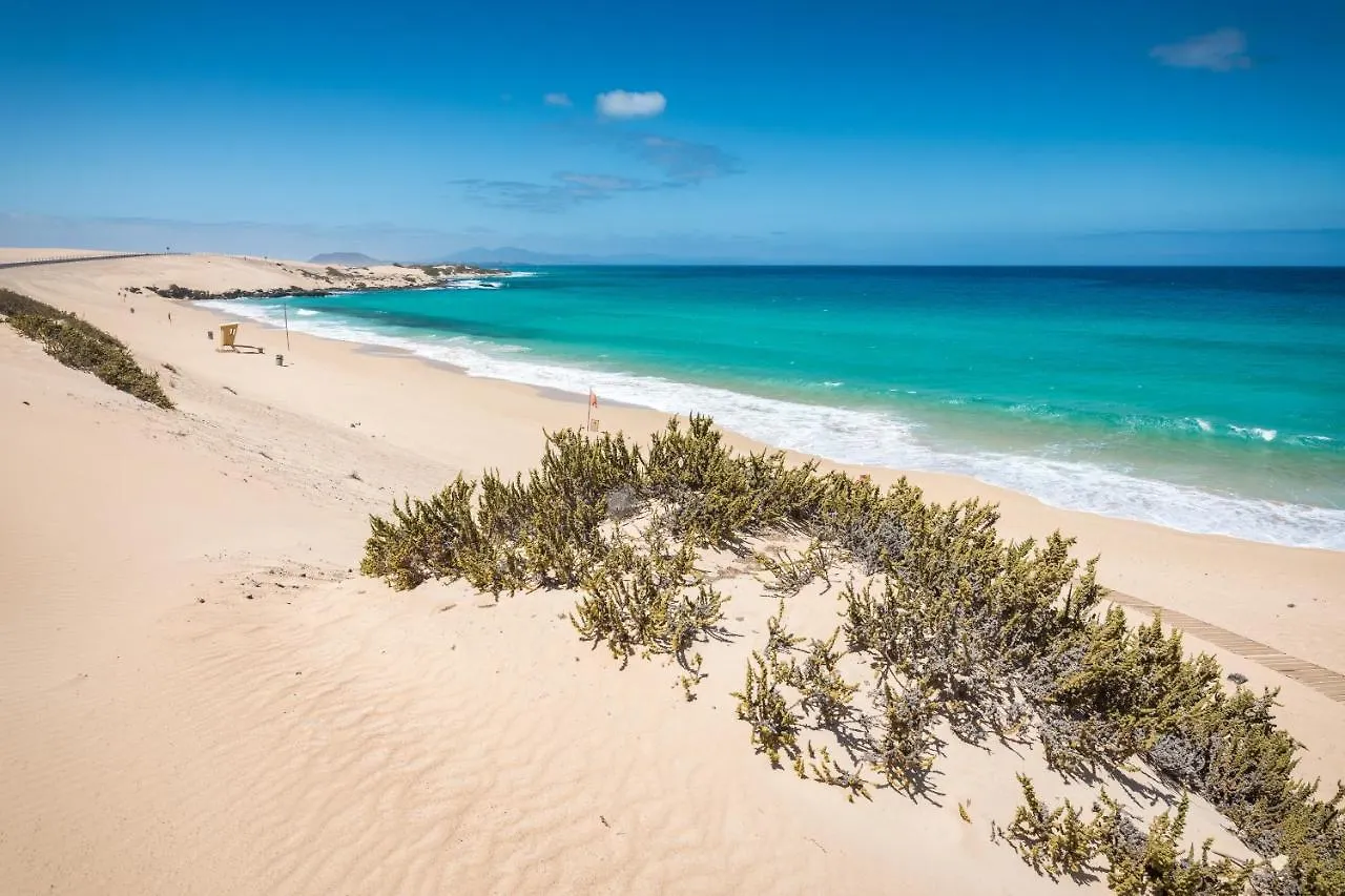 Home2Book Cozy Apt Near The Beach In Gran Tarajal 0*,  Spain