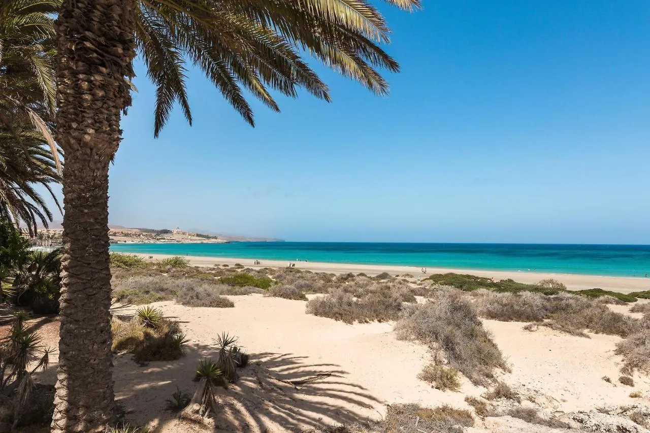 Home2Book Cozy Apt Near The Beach In Gran Tarajal